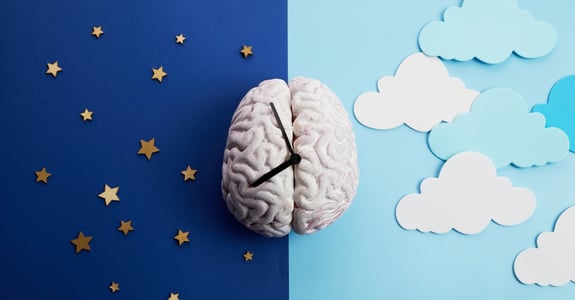 A brain that functions like a clock with day and night to illustrate the circadian rhythm