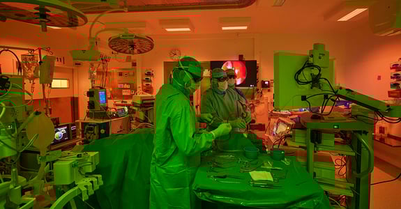 ChromaZona_showroomIMG